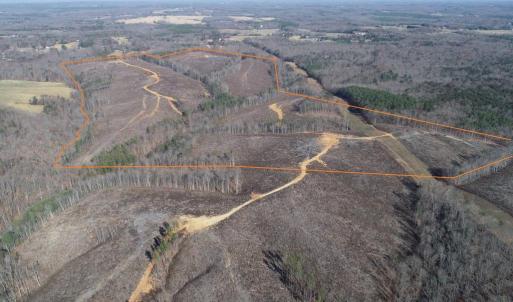 Photo #3 of PATTESON PLACE ROAD, SCOTTSVILLE, VA 148.6 acres