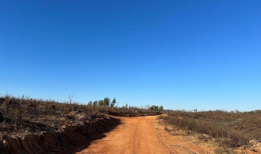 Photo #4 of PATTESON PLACE ROAD, SCOTTSVILLE, VA 148.6 acres