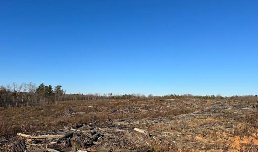 Photo #5 of PATTESON PLACE ROAD, SCOTTSVILLE, VA 148.6 acres