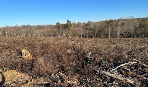 Photo #6 of PATTESON PLACE ROAD, SCOTTSVILLE, VA 148.6 acres