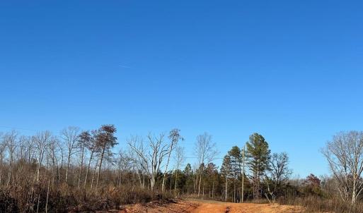 Photo #8 of PATTESON PLACE ROAD, SCOTTSVILLE, VA 148.6 acres