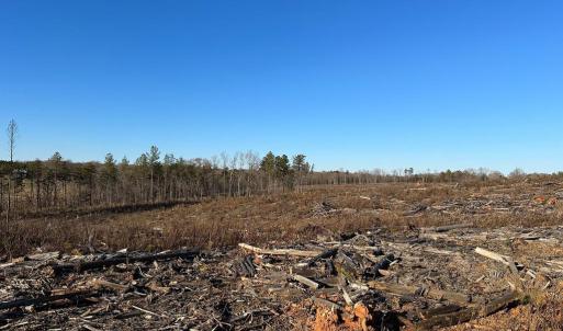 Photo #9 of PATTESON PLACE ROAD, SCOTTSVILLE, VA 148.6 acres