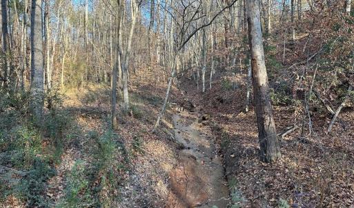 Photo #11 of PATTESON PLACE ROAD, SCOTTSVILLE, VA 148.6 acres