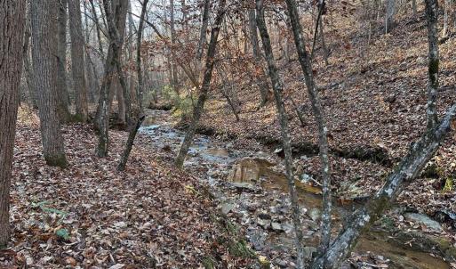 Photo #5 of OLD DRIVER HILL ROAD, SCOTTSVILLE, VA 303.0 acres