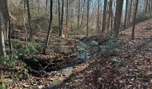 Photo #6 of OLD DRIVER HILL ROAD, SCOTTSVILLE, VA 303.0 acres