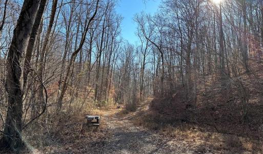 Photo #9 of OLD DRIVER HILL ROAD, SCOTTSVILLE, VA 303.0 acres