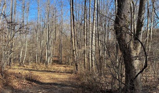 Photo #10 of OLD DRIVER HILL ROAD, SCOTTSVILLE, VA 303.0 acres