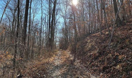 Photo #11 of OLD DRIVER HILL ROAD, SCOTTSVILLE, VA 303.0 acres