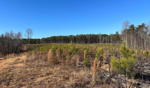 Photo #12 of OLD DRIVER HILL ROAD, SCOTTSVILLE, VA 303.0 acres