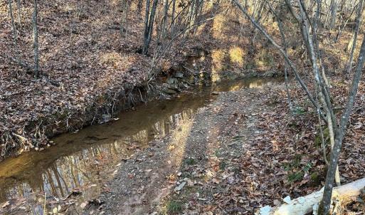 Photo #15 of OLD DRIVER HILL ROAD, SCOTTSVILLE, VA 303.0 acres
