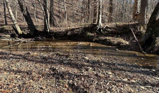 Photo #17 of OLD DRIVER HILL ROAD, SCOTTSVILLE, VA 303.0 acres