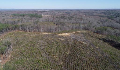 Photo #19 of OLD DRIVER HILL ROAD, SCOTTSVILLE, VA 303.0 acres