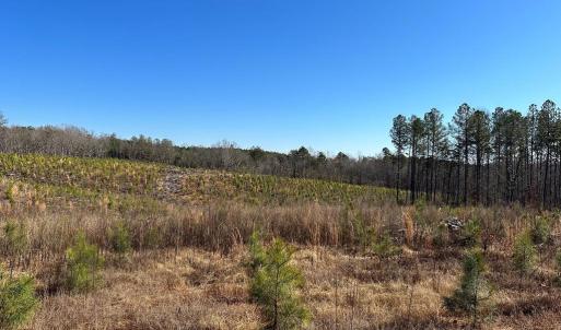 Photo #13 of OLD DRIVER HILL ROAD (TRACT: H.M. DUVAL-WEST), SCOTTSVILLE, VA 303.0 acres