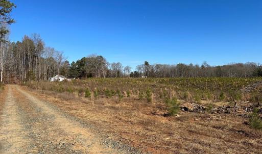 Photo #7 of OLD DRIVER HILL ROAD (TRACT: H.M. DUVAL-1), SCOTTSVILLE, VA