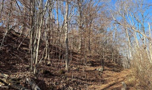 Photo #14 of OLD DRIVER HILL ROAD (TRACT: H.M. DUVAL-1), SCOTTSVILLE, VA