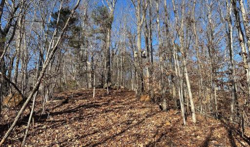 Photo #16 of OLD DRIVER HILL ROAD (TRACT: H.M. DUVAL-1), SCOTTSVILLE, VA