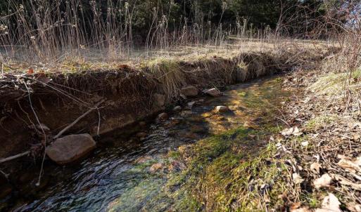 Photo #28 of 4 SHULER LN, STANLEY, VA 8.9 acres