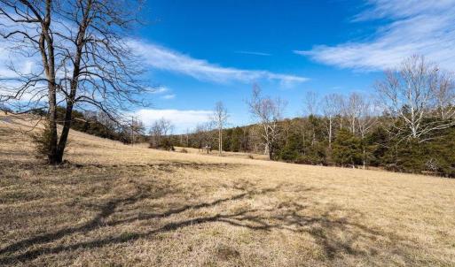 Photo #36 of 4 SHULER LN, STANLEY, VA 8.9 acres