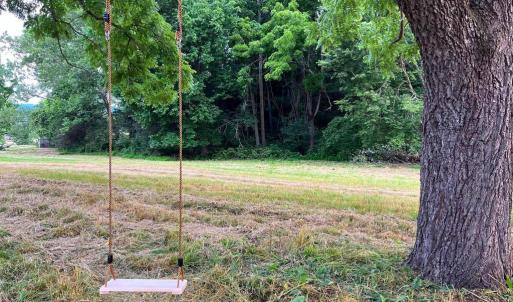 Photo #46 of 4 SHULER LN, STANLEY, VA 8.9 acres