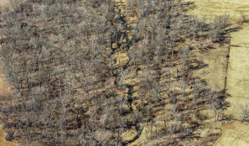 Photo #6 of OLD TAVERN RD, THE PLAINS, VA 190.0 acres