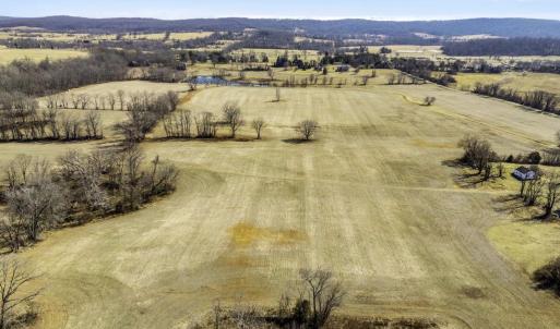 Photo #21 of OLD TAVERN RD, THE PLAINS, VA 190.0 acres