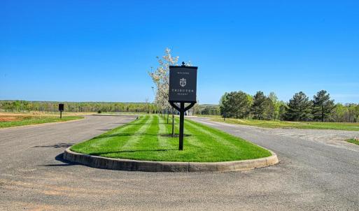 Photo #10 of TATUM DR, MINERAL, VA 0.4 acres