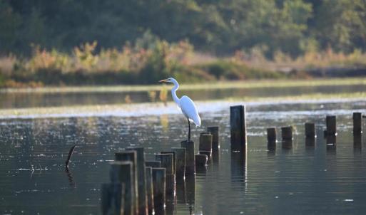 Photo #34 of TATUM DR, MINERAL, VA 0.4 acres