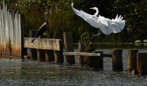 Photo #36 of TATUM DR, MINERAL, VA 0.4 acres