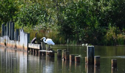 Photo #35 of TATUM DR, MINERAL, VA 0.4 acres