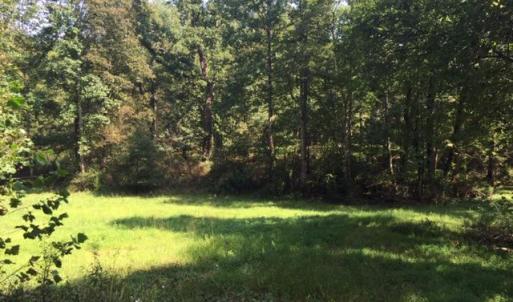 Photo #34 of PINE TORCH, MADISON, VA 3.0 acres