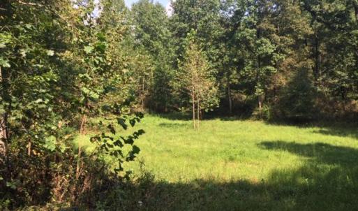 Photo #35 of PINE TORCH, MADISON, VA 3.0 acres
