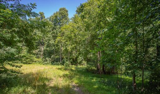 Photo #2 of PINE TORCH, MADISON, VA 3.0 acres