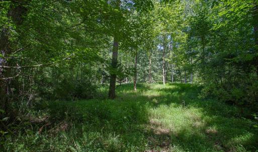 Photo #5 of PINE TORCH, MADISON, VA 3.0 acres