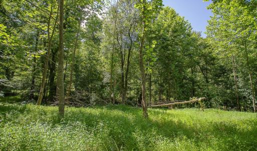 Photo #7 of PINE TORCH, MADISON, VA 3.0 acres
