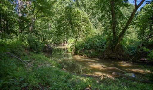 Photo #9 of PINE TORCH, MADISON, VA 3.0 acres