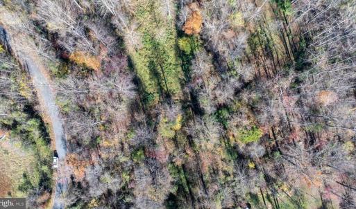 Photo #12 of PINE TORCH, MADISON, VA 3.0 acres