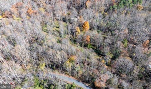 Photo #14 of PINE TORCH, MADISON, VA 3.0 acres
