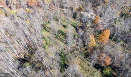 Photo #15 of PINE TORCH, MADISON, VA 3.0 acres