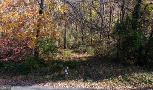 Photo #20 of PINE TORCH, MADISON, VA 3.0 acres