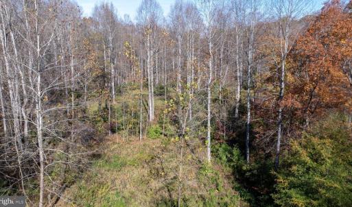 Photo #23 of PINE TORCH, MADISON, VA 3.0 acres
