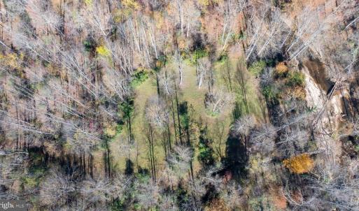Photo #29 of PINE TORCH, MADISON, VA 3.0 acres
