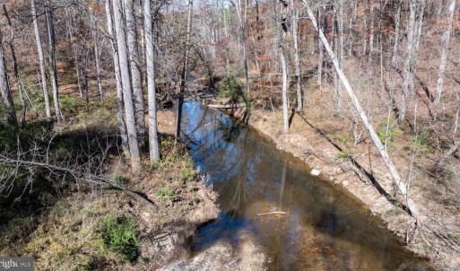 Photo #33 of PINE TORCH, MADISON, VA 3.0 acres