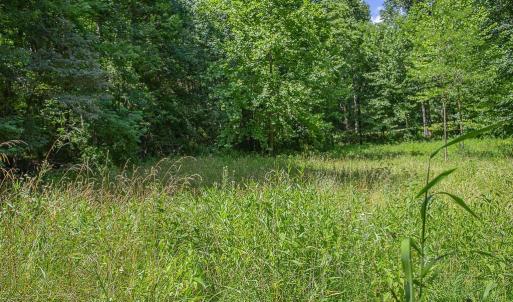 Photo #3 of PINE TORCH, MADISON, VA 3.0 acres