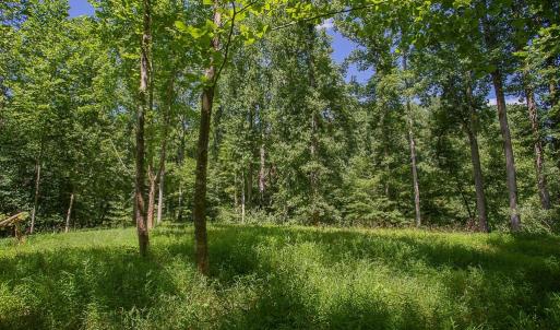 Photo #6 of PINE TORCH, MADISON, VA 3.0 acres