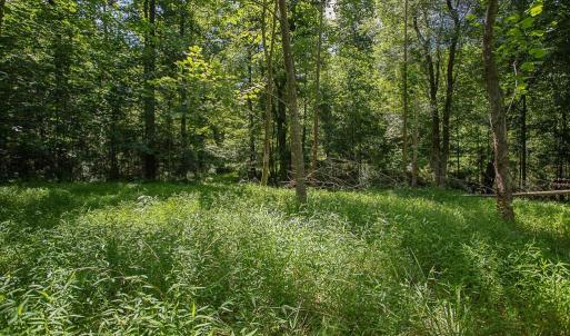 Photo #8 of PINE TORCH, MADISON, VA 3.0 acres