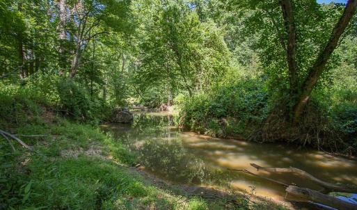 Photo #10 of PINE TORCH, MADISON, VA 3.0 acres