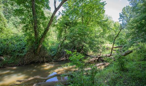 Photo #11 of PINE TORCH, MADISON, VA 3.0 acres