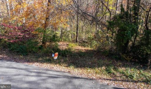 Photo #21 of PINE TORCH, MADISON, VA 3.0 acres