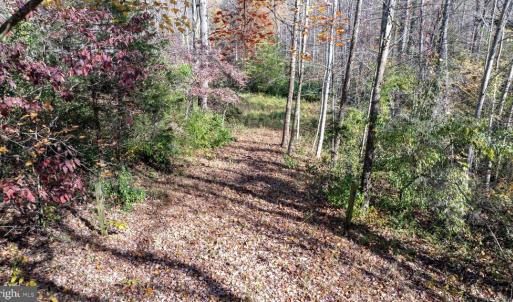 Photo #1 of PINE TORCH, MADISON, VA 3.0 acres