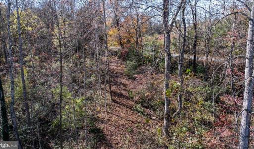 Photo #24 of PINE TORCH, MADISON, VA 3.0 acres